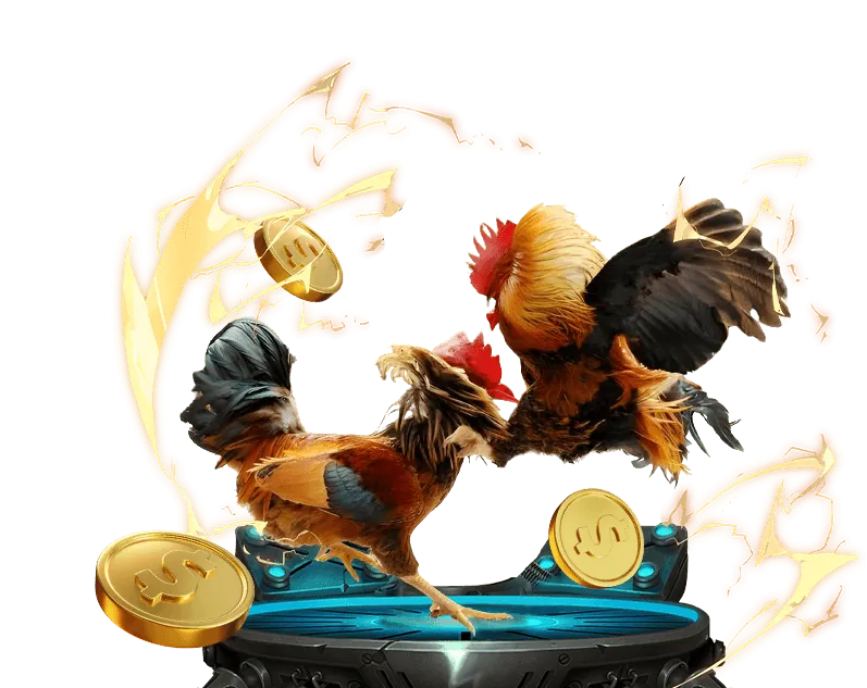 Tổng quan nền tảng Macau Club